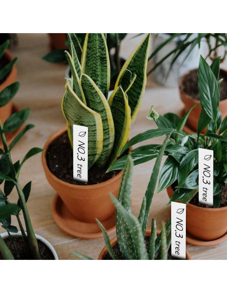 100 Etiquetas de Plantas Blancas AMORNING 10x2cm PVC