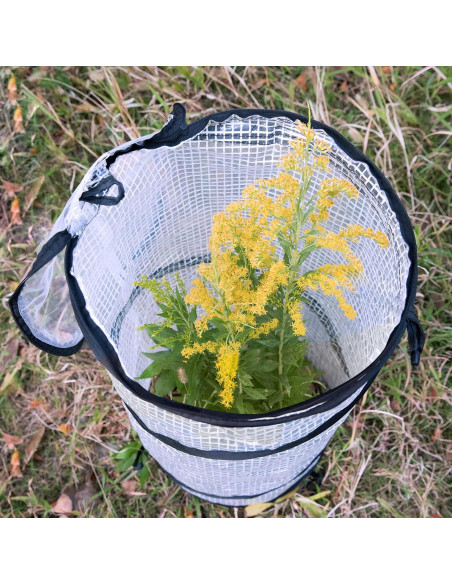 Invernadero Mini Plegable DECOHS 2 PCS 59.4x29.5 cm PVC