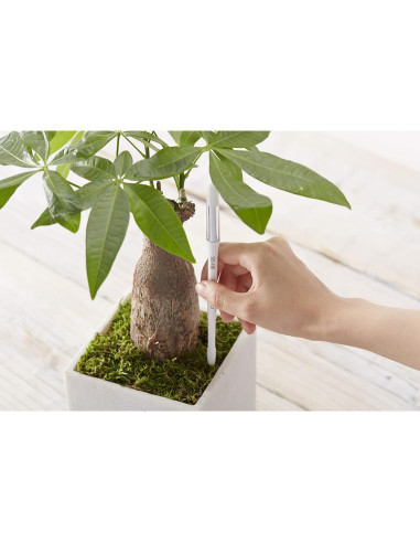 Sensor de Humedad del Suelo SUSTEE Aquameter Set de 5 Verde