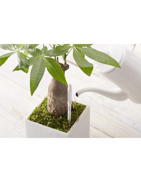 Sensor de Humedad del Suelo SUSTEE Aquameter Set de 5 Verde