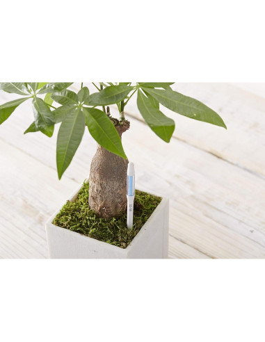 Sensor de Humedad del Suelo SUSTEE Aquameter Set de 5 Verde