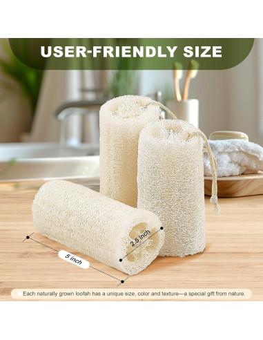 Esponja Exfoliante de Lufa Natural COZZLOMY - Set de 3 Piezas 12.7 cm