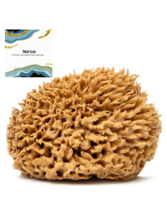 Esponja de Mar Natural Naroa Mediana para Baño y Spa