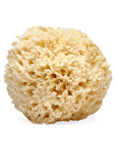 Esponja de Mar Natural LATHER 12.7-15.2 cm Exfoliante Hipoalergénica