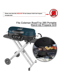 Sartén de Hierro Fundido Hongso para Parrilla Coleman Roadtrip 32.5x31.4cm 2
