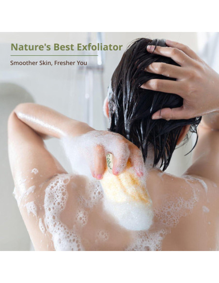 Esponja de Lufa Natural Coba Straws - Exfoliante Biodegradable 4 Unidades Esponja de Lufa Natural Coba Straws - Exfoliante Biodegradable 4 Unidades