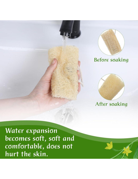 Juego de 2 esponjas de lufa natural Tyqour 15 cm exfoliantes