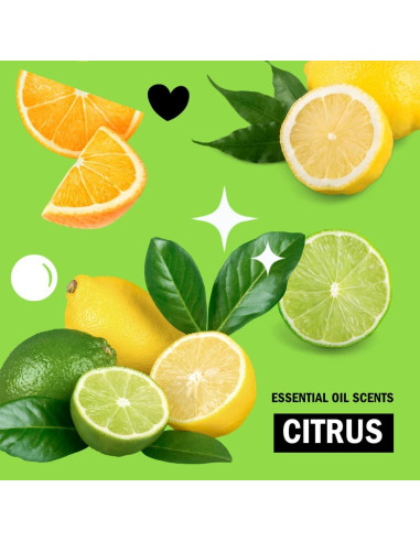 Bolsas de detergente para lavavajillas Molly's Suds 60 unidades cítricos