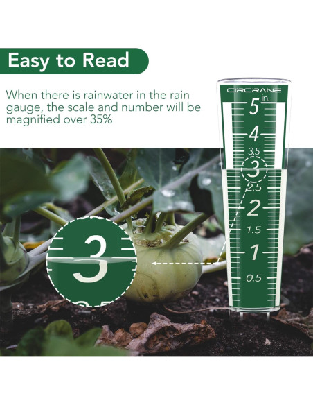 Medidor de Lluvia Circrane 12.7 cm Exterior con Soporte Verde