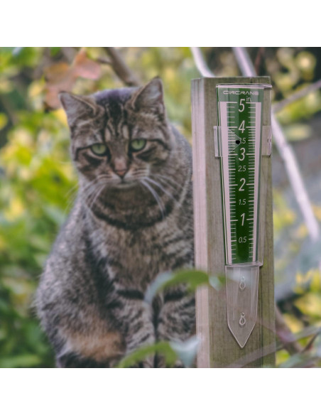 Medidor de Lluvia Circrane 12.7 cm Exterior con Soporte Verde