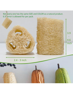 Esponjas de Lufa Natural FRTIM - Paquete de 6 Piezas Exfoliantes 2