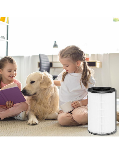 Paquete de 2 Filtros HEPA Verdadero AP-T45 para Purificador HoMedics