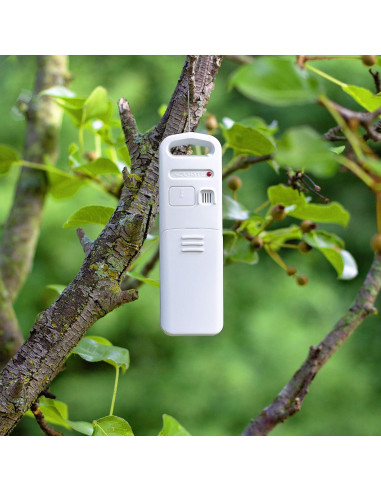 Pluviómetro AcuRite 01089M con Termómetro y Humedad