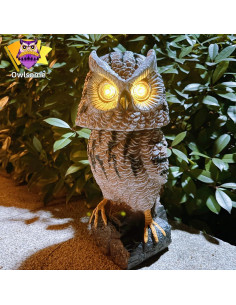 Búho Solar Owlsome con Ojos Intermitentes y Sonido - 40.6 cm 2