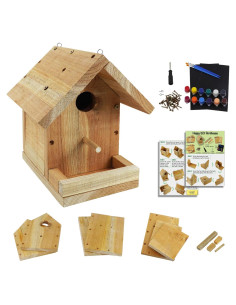 Kit Casa para Aves DIY Pontuss - Madera, Pintura y Herramientas