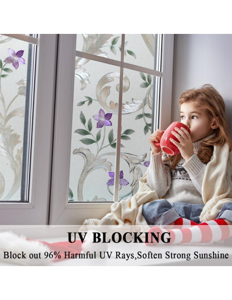 Película Decorativa para Ventanas Mikomer 30x200 cm Floral