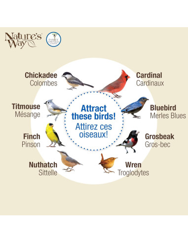 Comedero para Aves de Ventana Nature's Way Clear View 2 Tazas