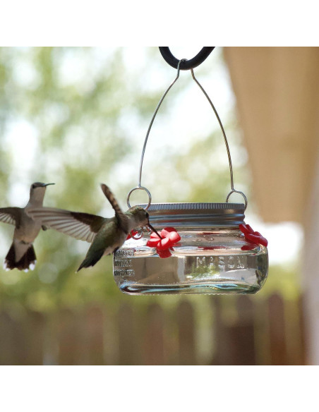 Comedero para Colibrí Nature's Way MJF1 Vidrio 177ml