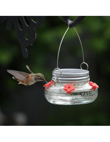 Comedero para Colibrí Nature's Way MJF1 Vidrio 177ml