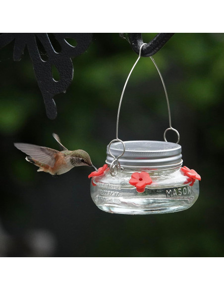 Comedero para Colibrí Nature's Way MJF1 Vidrio 177ml