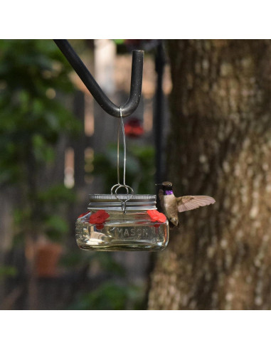 Comedero para Colibrí Nature's Way MJF1 Vidrio 177ml