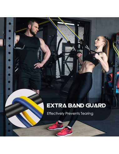 Bandas de Resistencia VEICK - Set de 5 Tubos Ajustables 68 kg