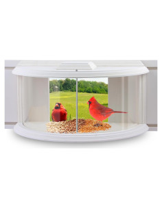 Comedero para Aves de Ventana JOYSEUS - Diseño Duradero y Elegante