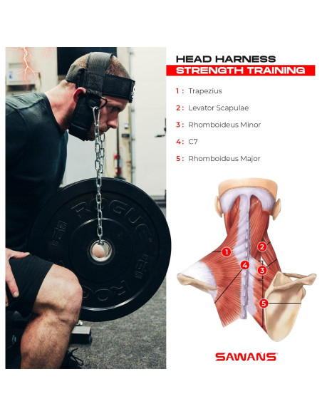 Arnés de Entrenamiento de Cuello SAWANS - Ajustable, Neopreno