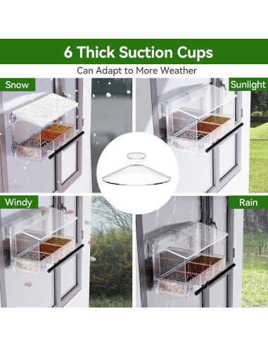 Comedero para Aves de Ventana DY-SKTY Transparente 30x11x12cm