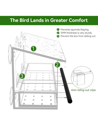 Comedero para Aves de Ventana DY-SKTY Transparente 30x11x12cm