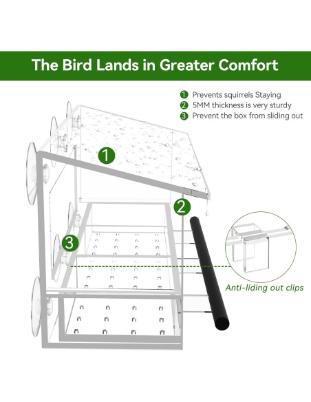 Comedero para Aves de Ventana DY-SKTY Transparente 30x11x12cm Comedero para Aves de Ventana DY-SKTY Transparente 30x11x12cm