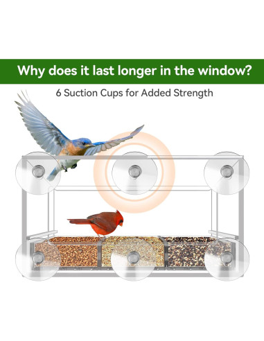 Comedero para Aves de Ventana DY-SKTY Transparente 30x11x12cm