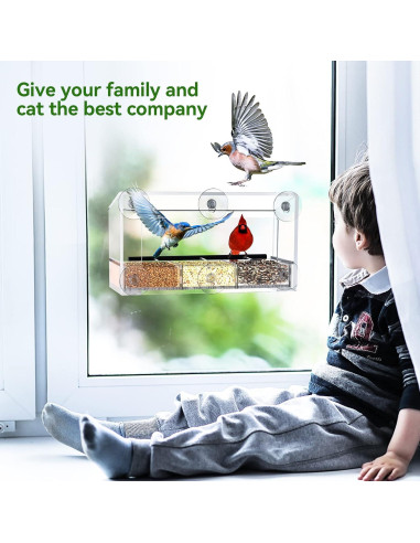 Comedero para Aves de Ventana DY-SKTY Transparente 30x11x12cm