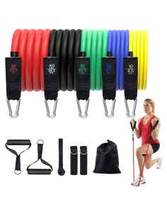 Conjunto de Bandas de Resistencia Simmgud 68 kg con Accesorios
