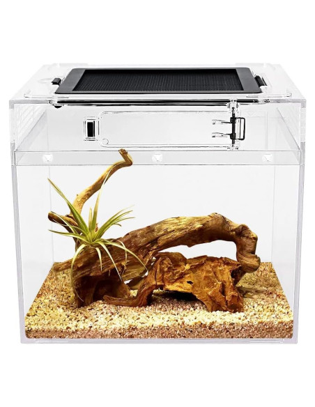 Mini Terrario para Reptiles Crecimiento de Reptiles 20.32 cm