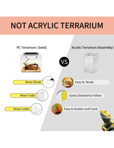 Mini Terrario para Reptiles Crecimiento de Reptiles 20.32 cm