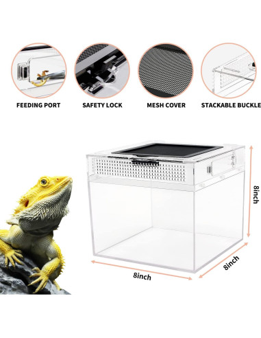 Mini Terrario para Reptiles Crecimiento de Reptiles 20.32 cm