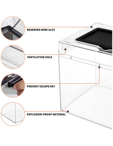 Mini Terrario para Reptiles Crecimiento de Reptiles 20.32 cm