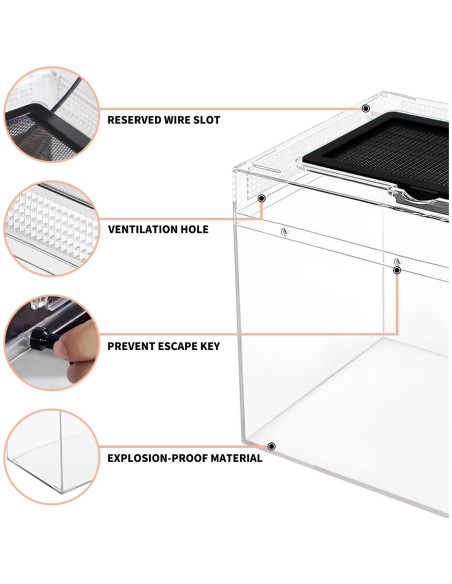 Mini Terrario para Reptiles Crecimiento de Reptiles 20.32 cm