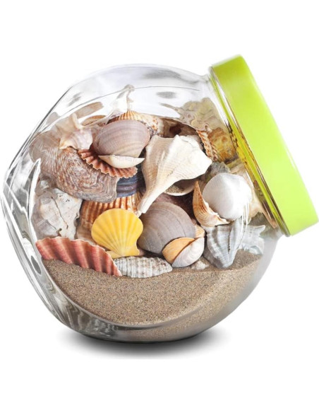 Arena Desértica Mosser Lee 3.18 kg para Decoración de Plantas