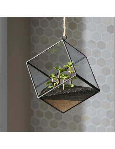 Arena Desértica Mosser Lee 3.18 kg para Decoración de Plantas