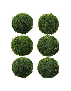 Bolas Decorativas de Musgo Verde Hommtina 8.9 cm Juego de 6