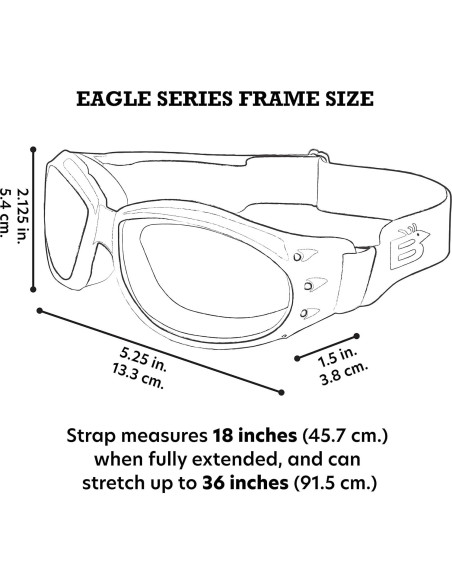 Gafas de Moto Birdz Eyewear Eagle Rosa con 2 Lentes