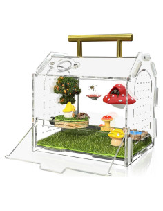 Recinto Acrílico para Araña Saltadora Julang 11.5x11x10.5cm