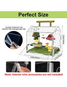 Recinto Acrílico para Araña Saltadora Julang 11.5x11x10.5cm 2
