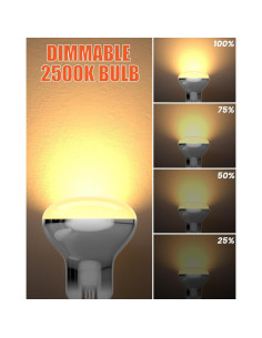 Bombilla de Lava Dimmable DoRight E17 40W 2500K Paquete de 2 2