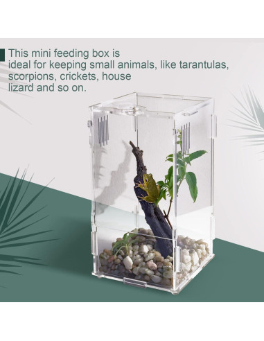 Tanque Mini Reptil Acrílico BETAZOOER 10.16x10.16x20.32cm