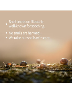 Mascarilla Facial Benton de Caracol y Veneno de Abeja 10 Hojas 2