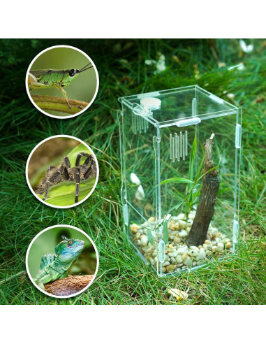 Tanque Mini Reptil Acrílico BETAZOOER 10.16x10.16x20.32cm