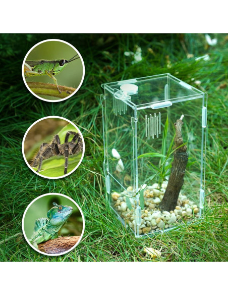 Tanque Mini Reptil Acrílico BETAZOOER 10.16x10.16x20.32cm